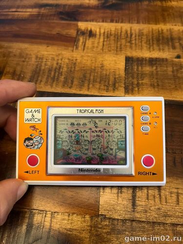Tropical fish Nintendo
